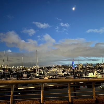 rmonsterslobs's profile picture. 