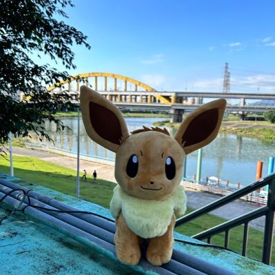 eevee_diary Profile Picture