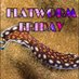 Flatworm (@flatwormfriday) Twitter profile photo Flatworm (@flatwormfriday) Twitter profile photo