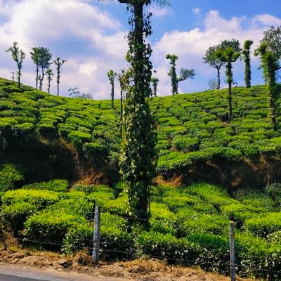 0412Ure's profile picture. 