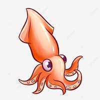 squid(@1800squid) 's Twitter Profile Photo