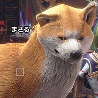 sleep147h (@sleep147h) 's Twitter Profile