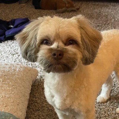 rxtech81's profile picture. 