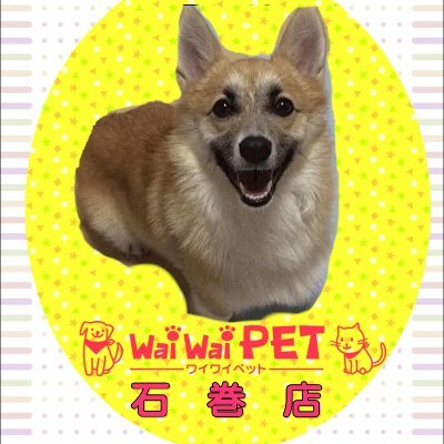 waiwaipet_ishi Profile Picture