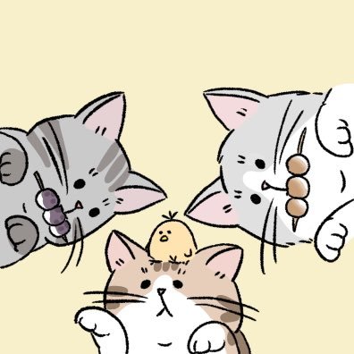 超ポイントアップ祭 ねこまま🐈🐈🐈‍⬛ (@nekomama1016) / X ワンピース