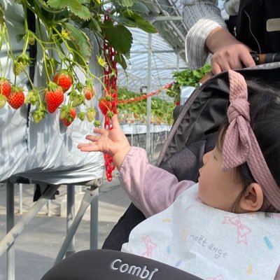 🙋♀️専業 / R4.5月🎀 お歌大好きおしゃべり3歳児👧中古DWE.七田式A👀アンパンマンより数字が大好きな変人を育てています😇 知育垢、育児垢さん仲良くしてくれると嬉しいです!無言フォロー失礼します!🏠愛知