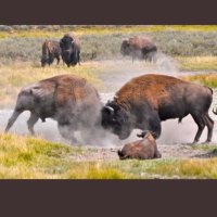 Mitchell Montover (@mitchmontover) 's Twitter Profile Photo