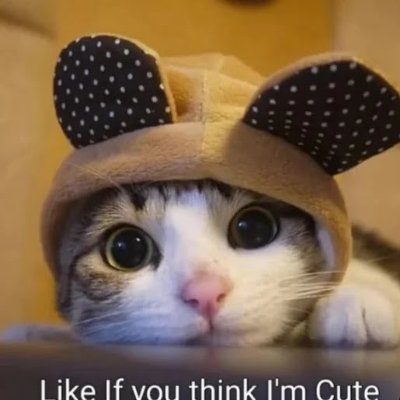 Lil_j_king_gang's profile picture. 😍💍TAKEN 💍🥰SPANISH BOY🇲🇽follow my Instagram stripfourjay
Clash royale player 
Clash of clans player
From 🇲🇽Mexico