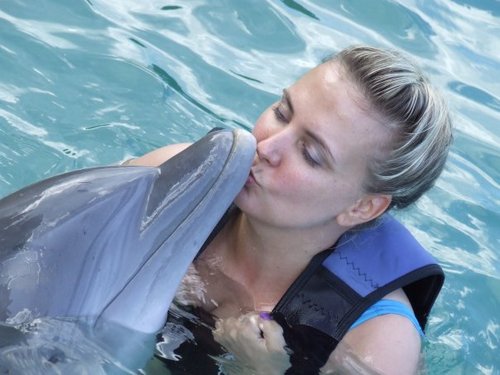 LKKelley11's profile picture. (aka Laura Arrowood) Still wondering when I'm supposed to feel like a grownup.