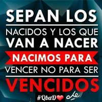 Yolanda Capdevila (@yolandacapdevi1) 's Twitter Profile