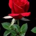 محمد.ابراهيم.دويدار (@ayamoha24145676) Twitter profile photo محمد.ابراهيم.دويدار (@ayamoha24145676) Twitter profile photo