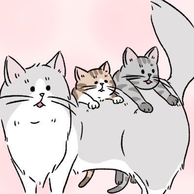 ねこまま🐈🐈🐈‍⬛さんのプロフィール画像