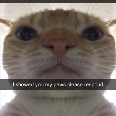 ResearchZj's profile picture. large cap private equity 🚀🚀🚀