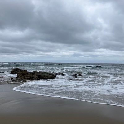 Observe60268161's profile picture. 気分