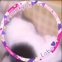 ちび太。 (@_chibi_taku) 's Twitter Profile Photo ちび太。 (@_chibi_taku) 's Twitter Profile Photo