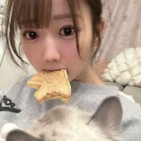 ほわ(ゼロルフィ) (@zeroluffy_howa) 's Twitter Profile