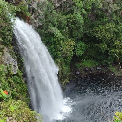 Dylan97Kt's profile picture. 