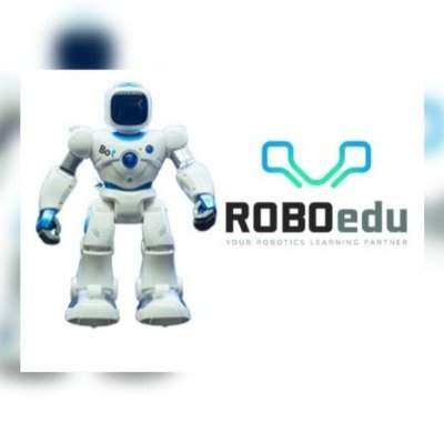 @Roboedupvtltd