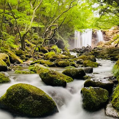 tackeyqa's profile picture. qa