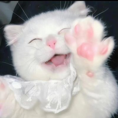 LuisXD1KM's profile picture. 