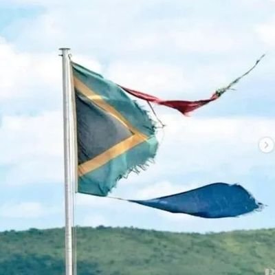 Thabo82503700's profile picture. I am committed community builder