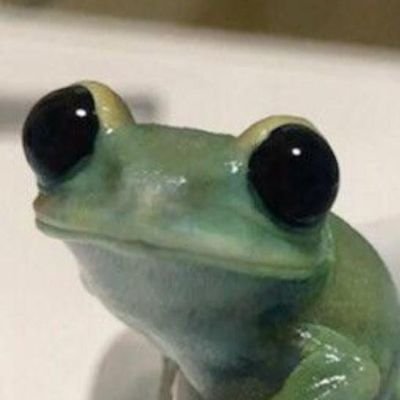 jiggleTheJelly's profile picture. Meow