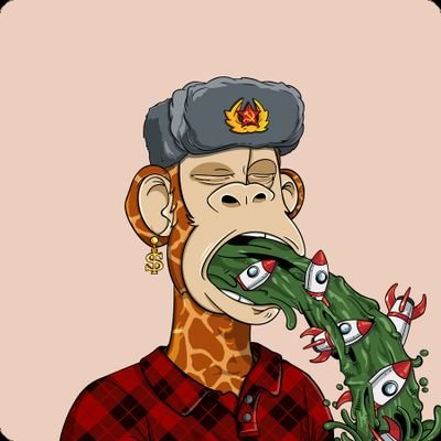 0xAmxOp's profile picture. 