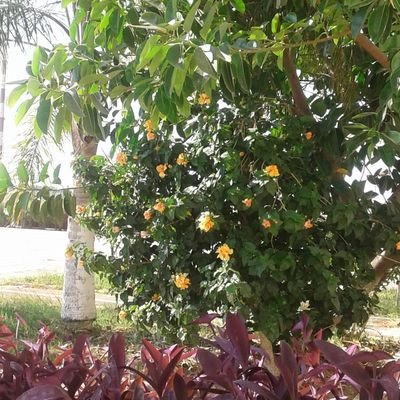 bilal1853's profile picture. 