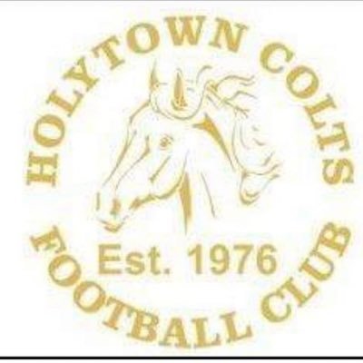 Holytown colts AFC over35s