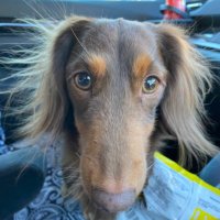 yuko (@yuko121135) 's Twitter Profile