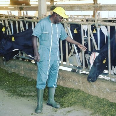 CowSignals Advisor, Currently working at Dal-group as assistant farm manager, and also in charge of the breeding section.