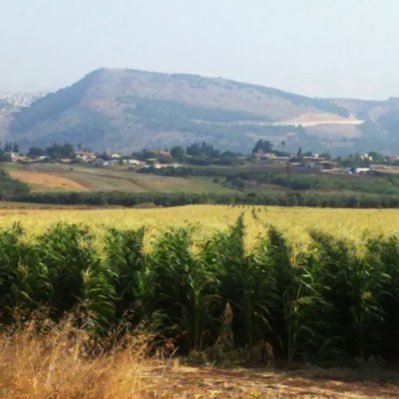 RabbiMeir11's profile picture. אוהב מילים. לפעמים מתפעל מהן ולפעמים מתרגז מהן. חילוני גמור המוצא בעצמו גם המון אמונה. נע ונד