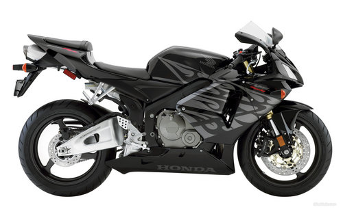 RolandoCBR's profile picture. 