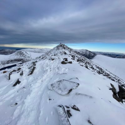 gutohowells's profile picture. 