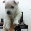 Leandro Cruz - @Lecrux35 - Twitter