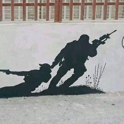 noor_schah's profile picture. AFG