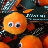 SavientBugs (@savientbugs) 's Twitter Profile Photo