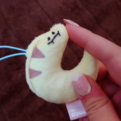 ちゃー子 (パス忘れたので移行)さんのプロフィール画像