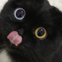 18+ (@natthakranw) 's Twitter Profile