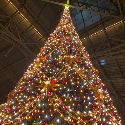 mimi28maple10's profile picture. IFA🎵仕事も育児もフル稼働‼️パワフルに生きたい‼️日頃の主婦の口専門‼️