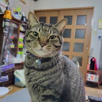 nob (@nobnob31) Twitter profile photo