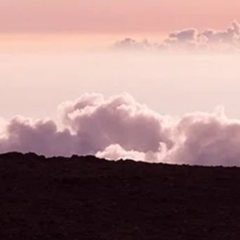 mljs58169990's profile picture. 