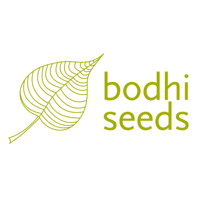 BodhiSeeds's profile picture. Bodhi Seeds was founded by The Dzogchen Ponlop Rinpoche to help with the many needs of  Tibetan monastics and lay communities in South Asia.