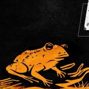 DONGGY01's profile picture. 