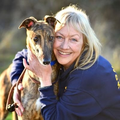 Professionally homing retired racing greyhounds