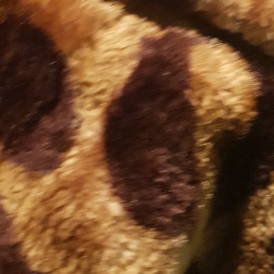 User1235002's profile picture. .