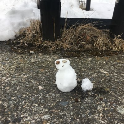 「抹茶飲んでからマラカス鳴らす」というブログを書いてます。映画、アニメの感想中心です。あとFC東京とLiverpoolと水曜どうでしょうとホークスが好きです。#アニなら で毎月アニメ映画の話をしています。#レクデミー 2024優勝