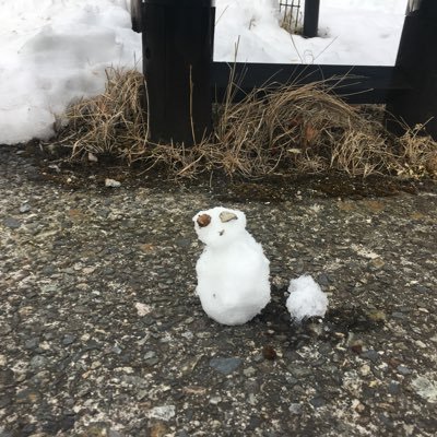 「抹茶飲んでからマラカス鳴らす」というブログを書いてます。映画、アニメの感想中心です。あとFC東京とLiverpoolと水曜どうでしょうとホークスが好きです。#アニなら で毎月アニメ映画の話をしています。#最強B級映画決定戦 準優勝