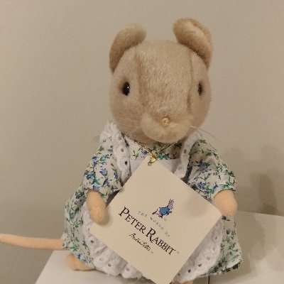 karoime's profile picture. シルバニアとマヌルネコとスナネコが好きです
