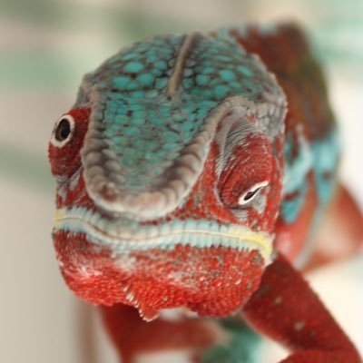 かりんさんのプロフィール画像